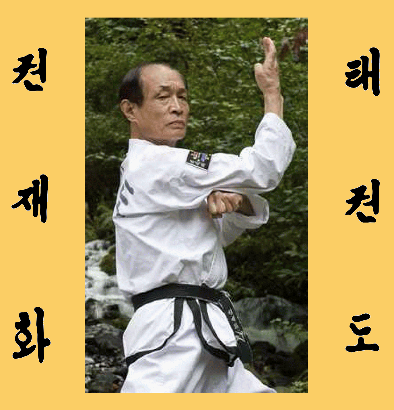 [Kwon, Jae-Hwa Taekwon‑Do in Hangul with Picture of GM Kwon practicing]